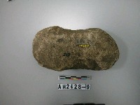 藏品(有腰打製石斧)的圖片